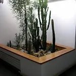 Eden 3*